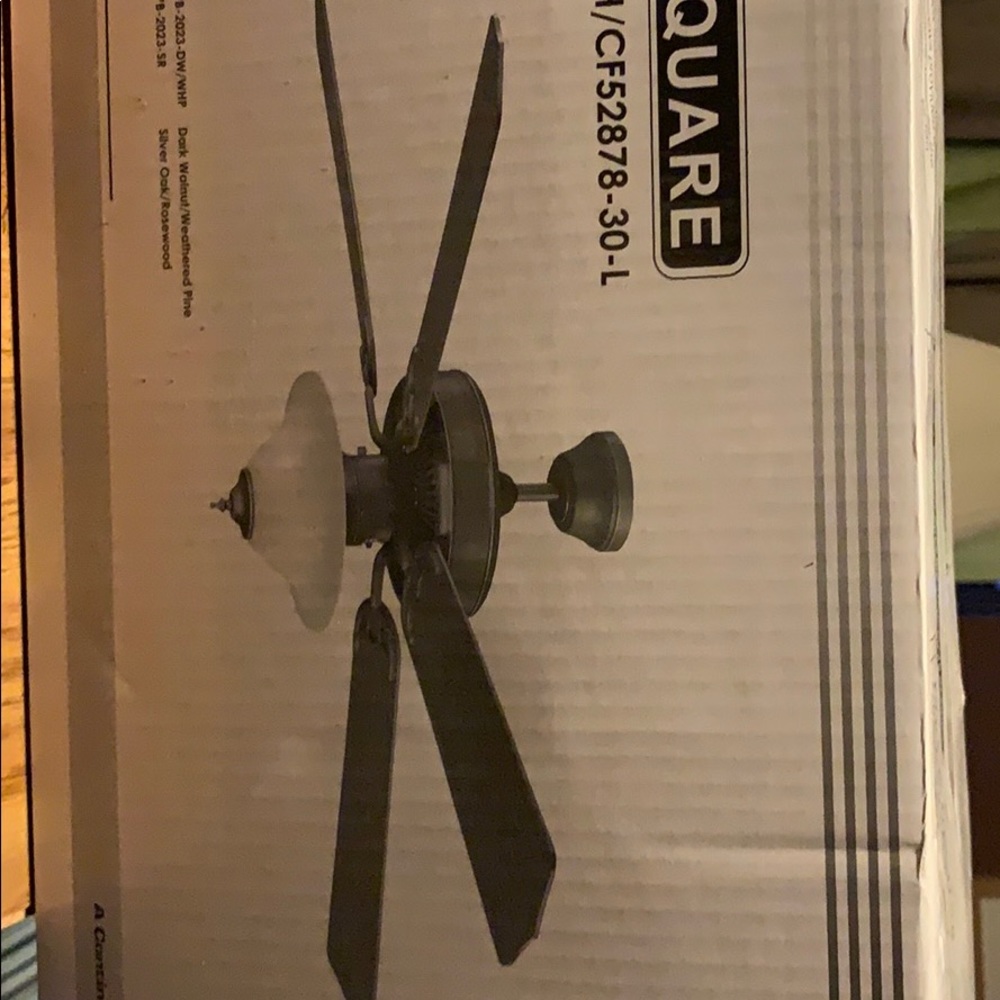 Fan